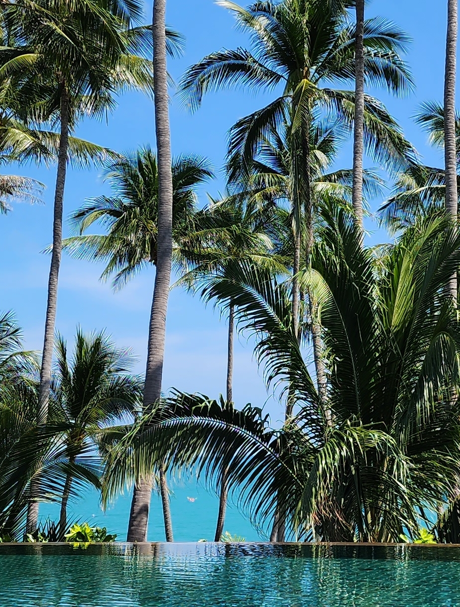 작성자 프로필 이미지