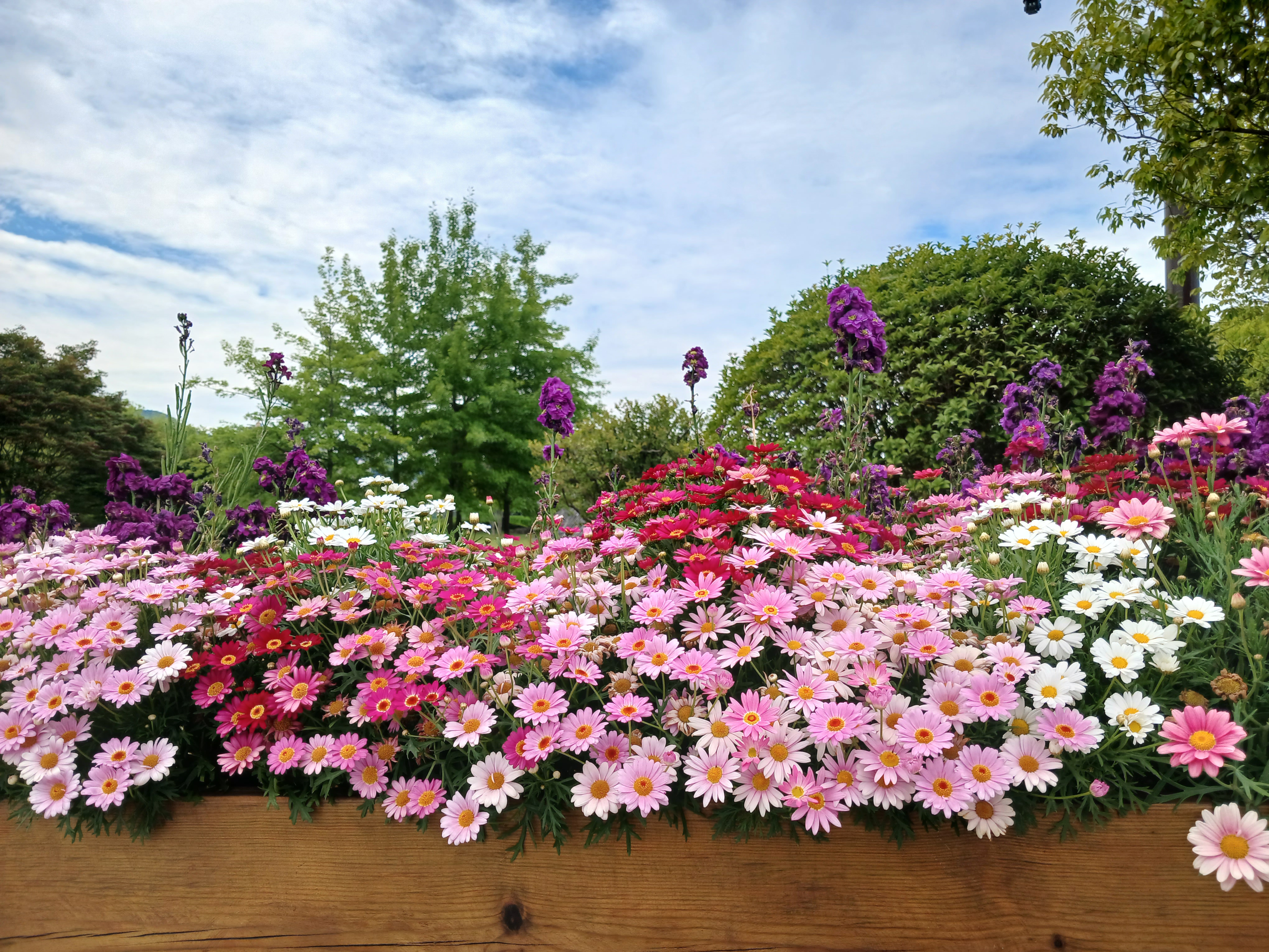 작성자 프로필 이미지