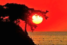 작성자 프로필 이미지