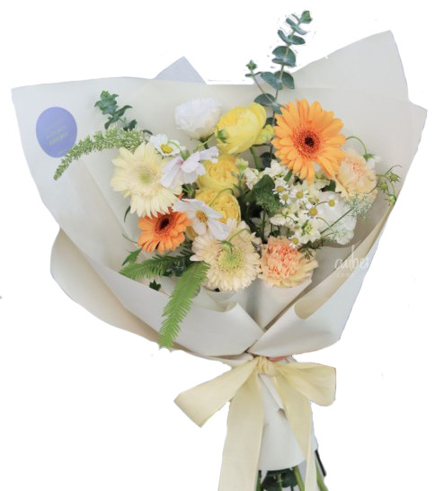 작성자 프로필 이미지