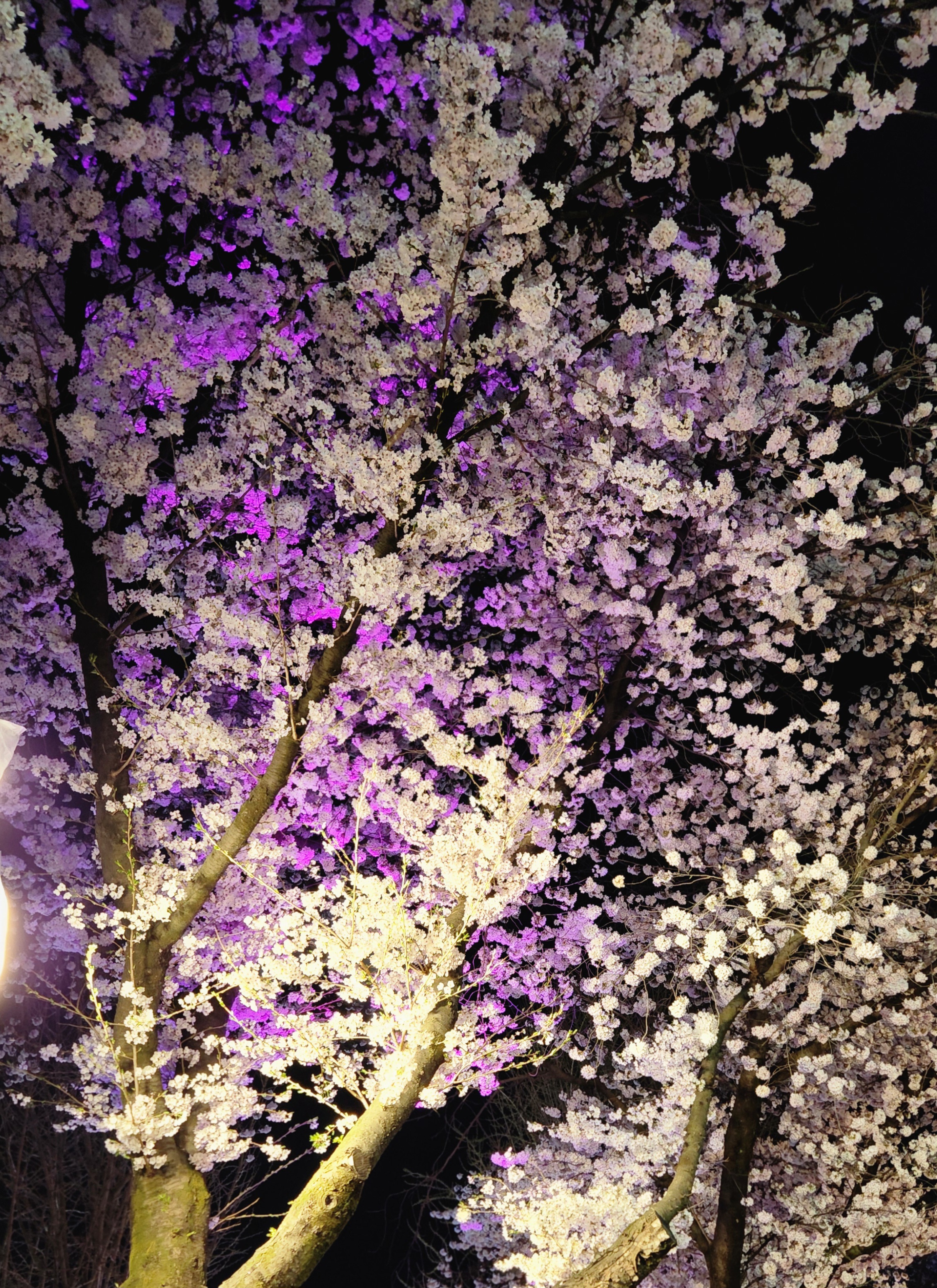 작성자 프로필 이미지