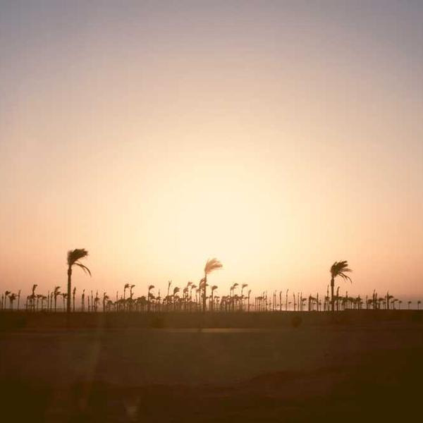 오늘따라 프로필 이미지