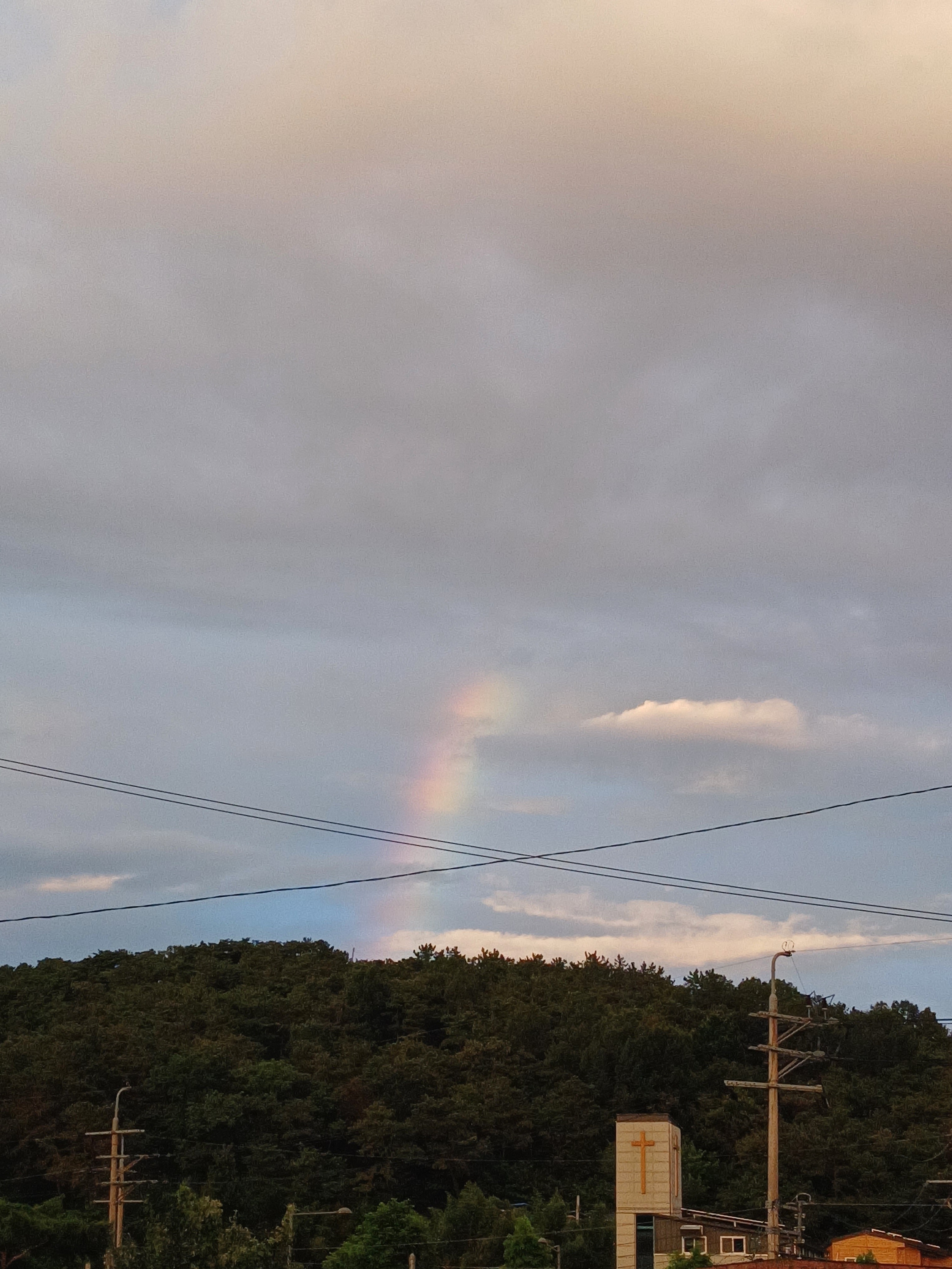 작성자 프로필 이미지