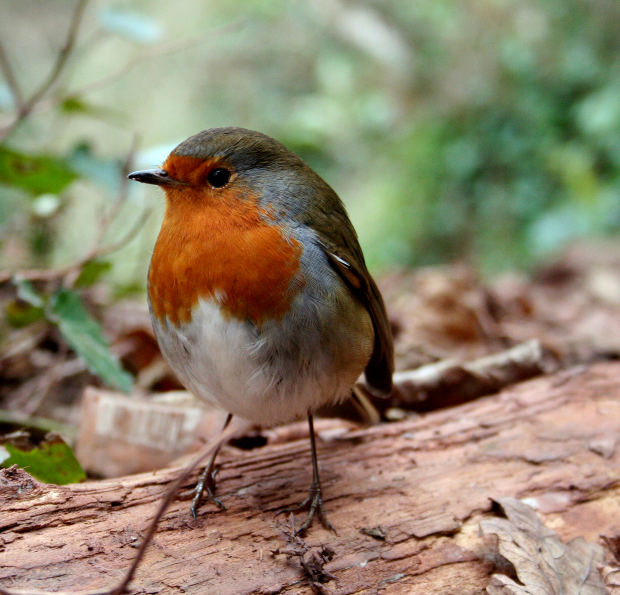 작성자 프로필 이미지