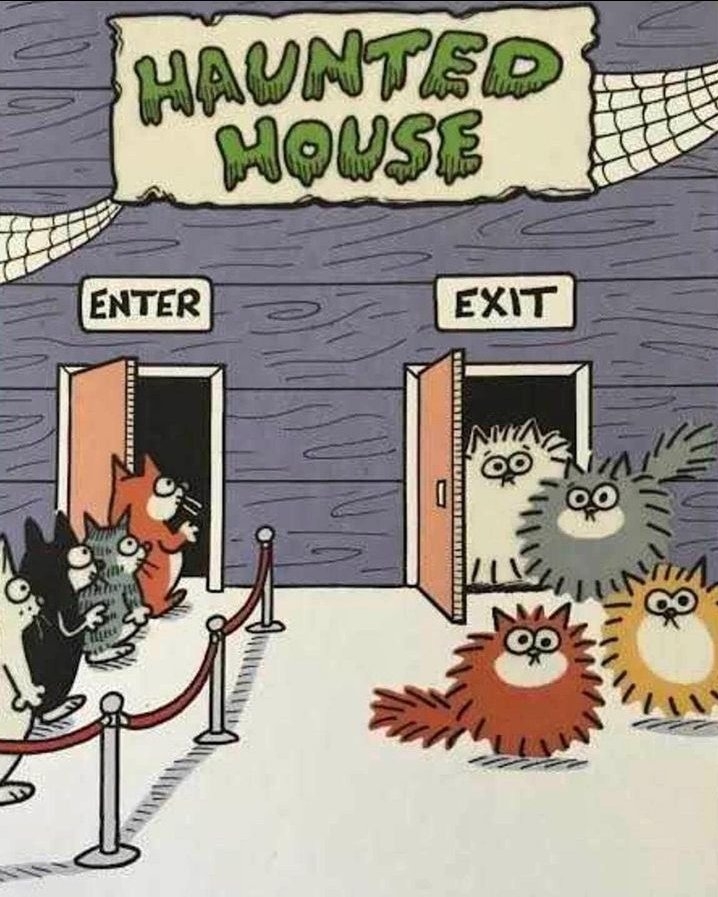 작성자 프로필 이미지