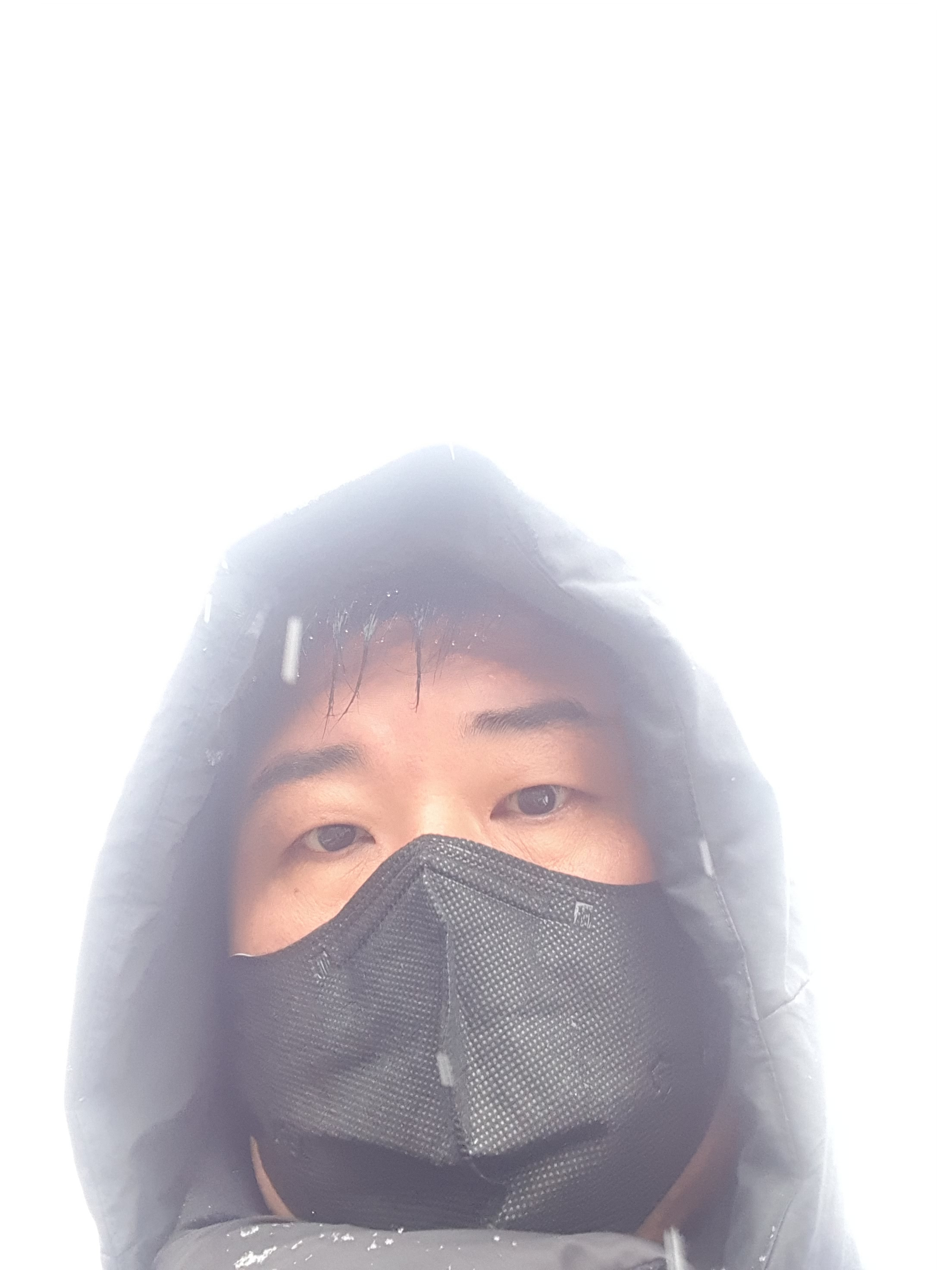 작성자 프로필 이미지