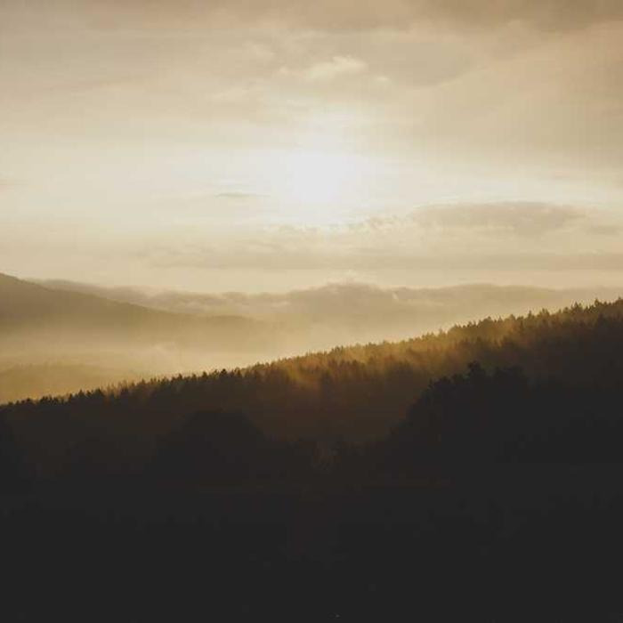 작성자 프로필 이미지