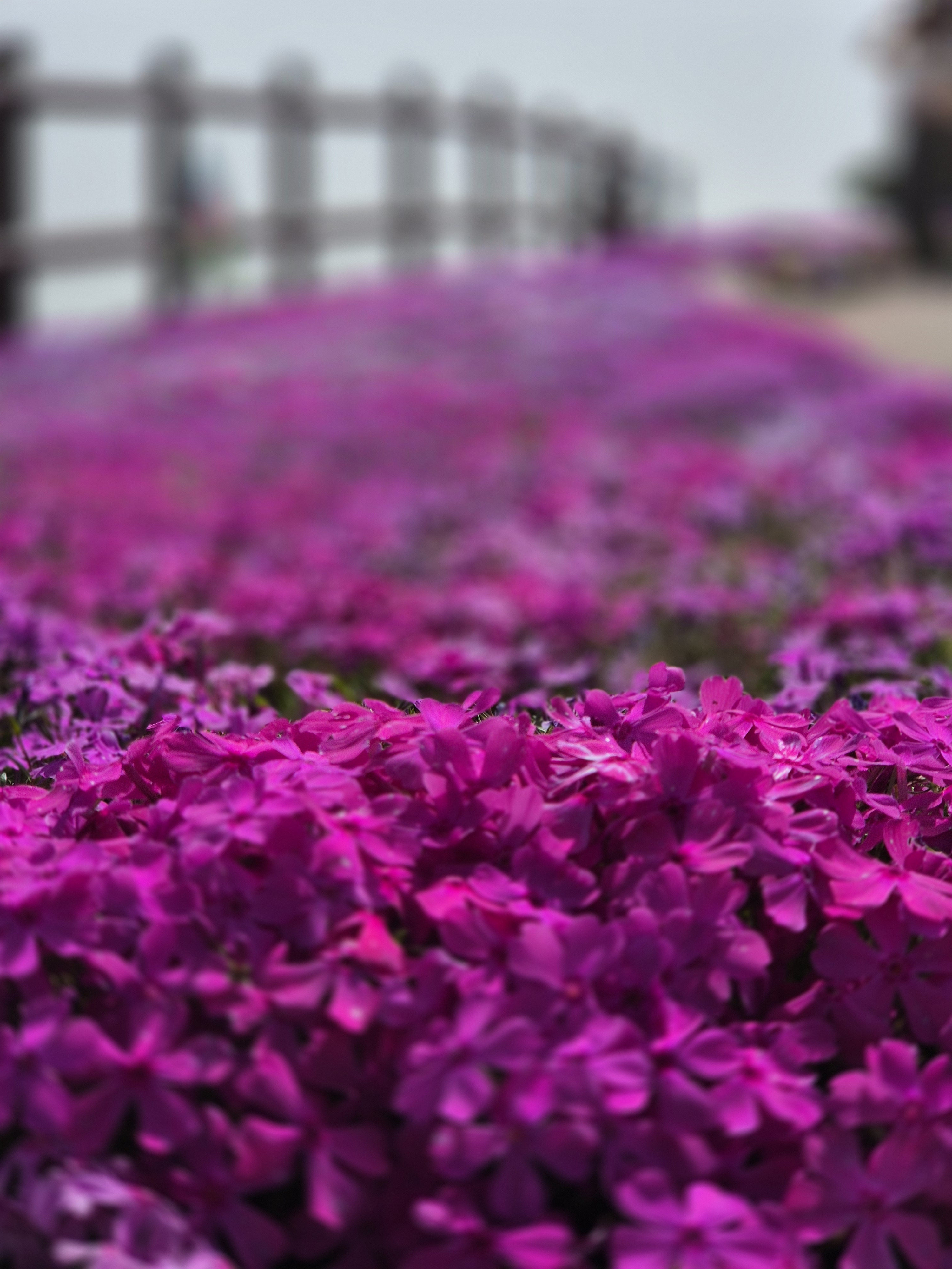 작성자 프로필 이미지