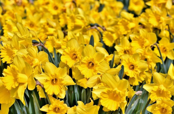 작성자 프로필 이미지