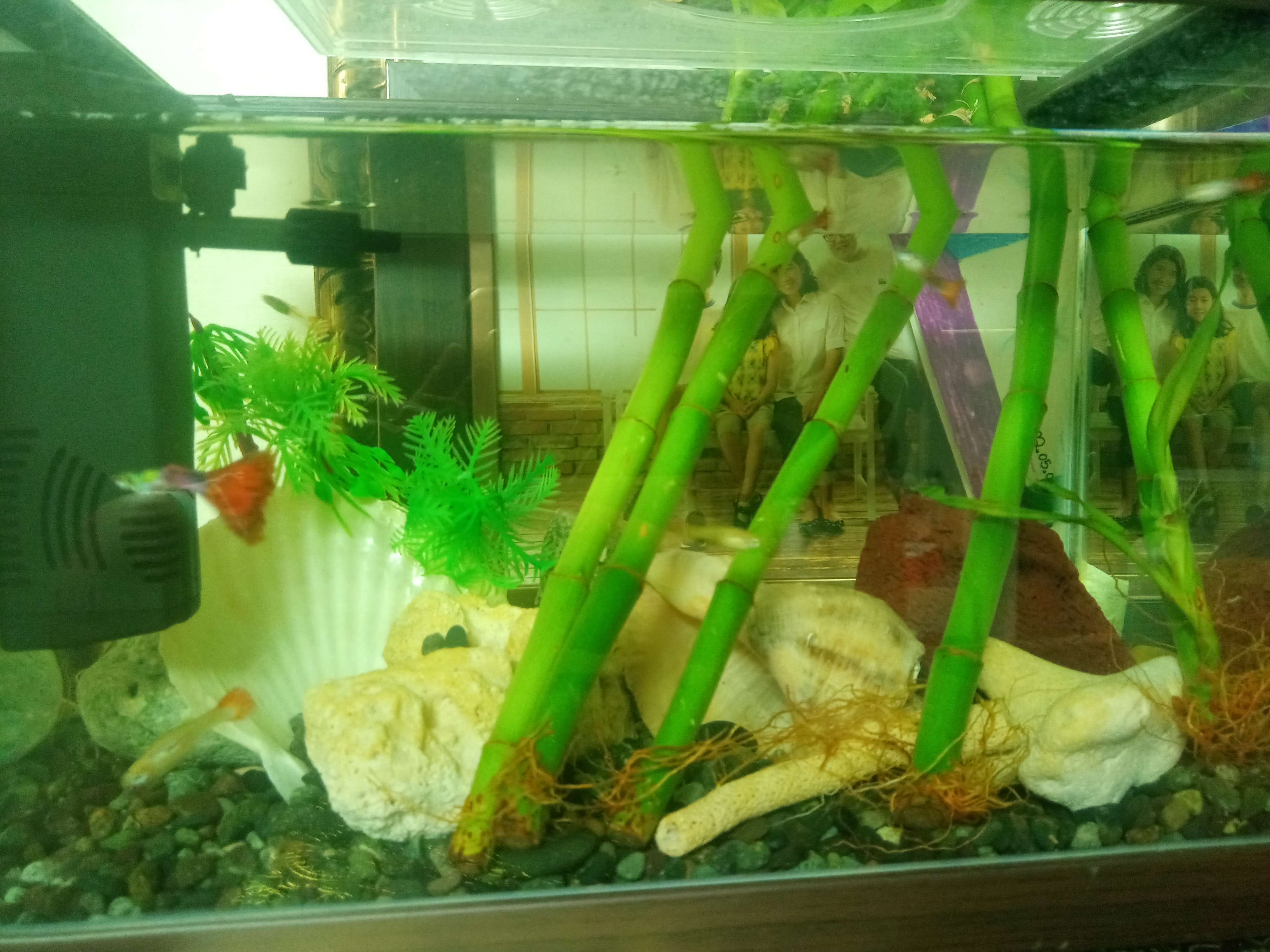 작성자 프로필 이미지