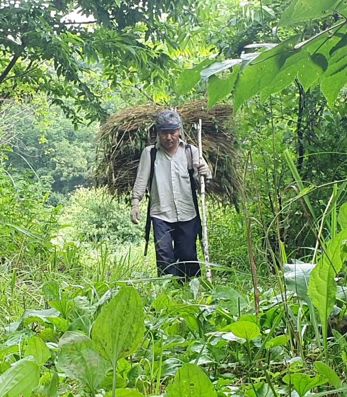 작성자 프로필 이미지