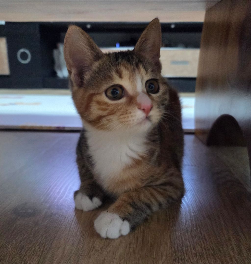 작성자 프로필 이미지