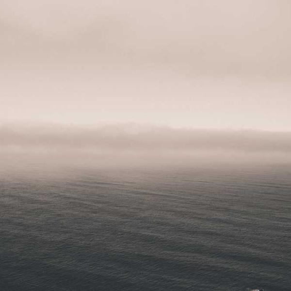 작성자 프로필 이미지