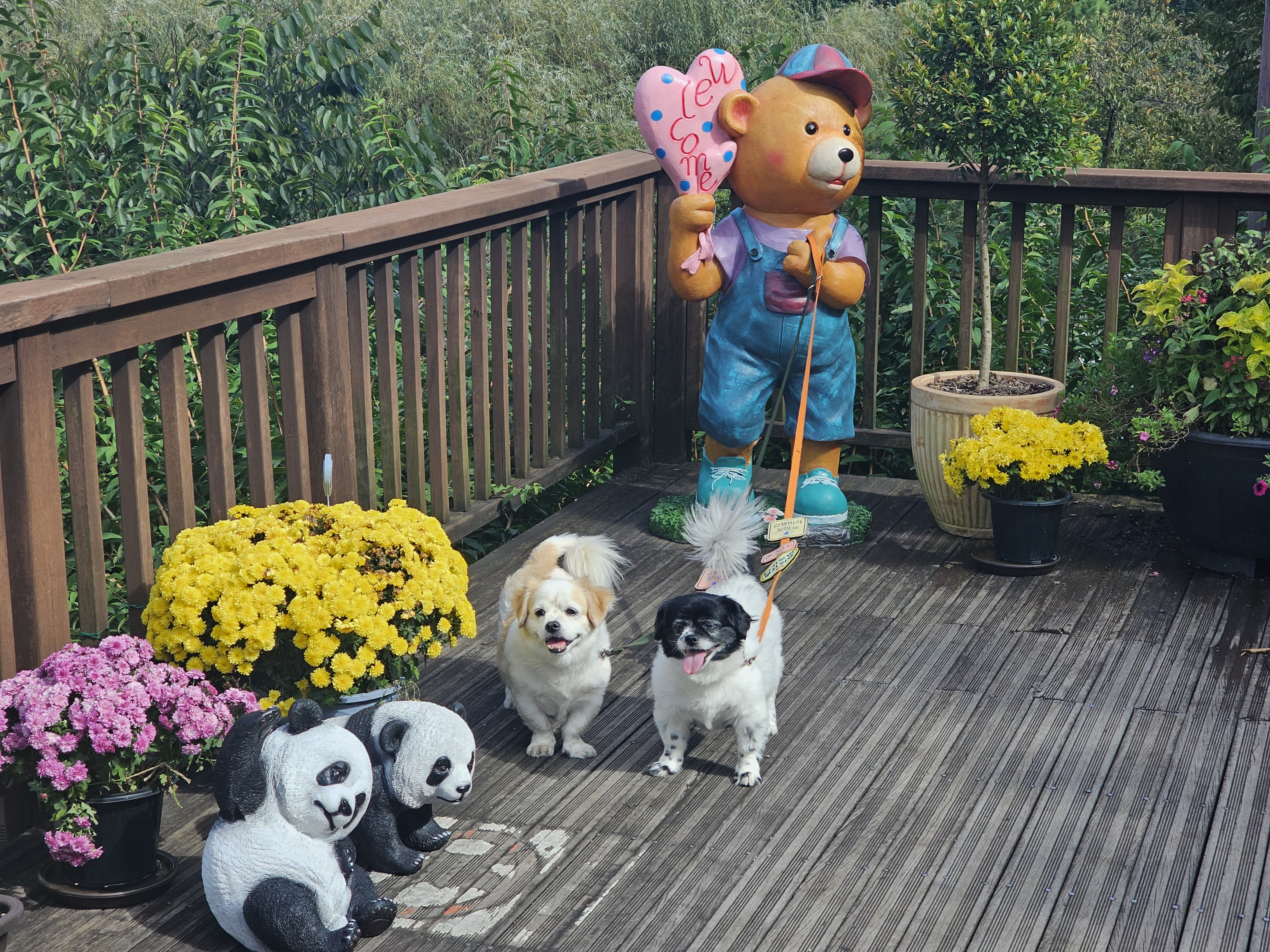 작성자 프로필 이미지