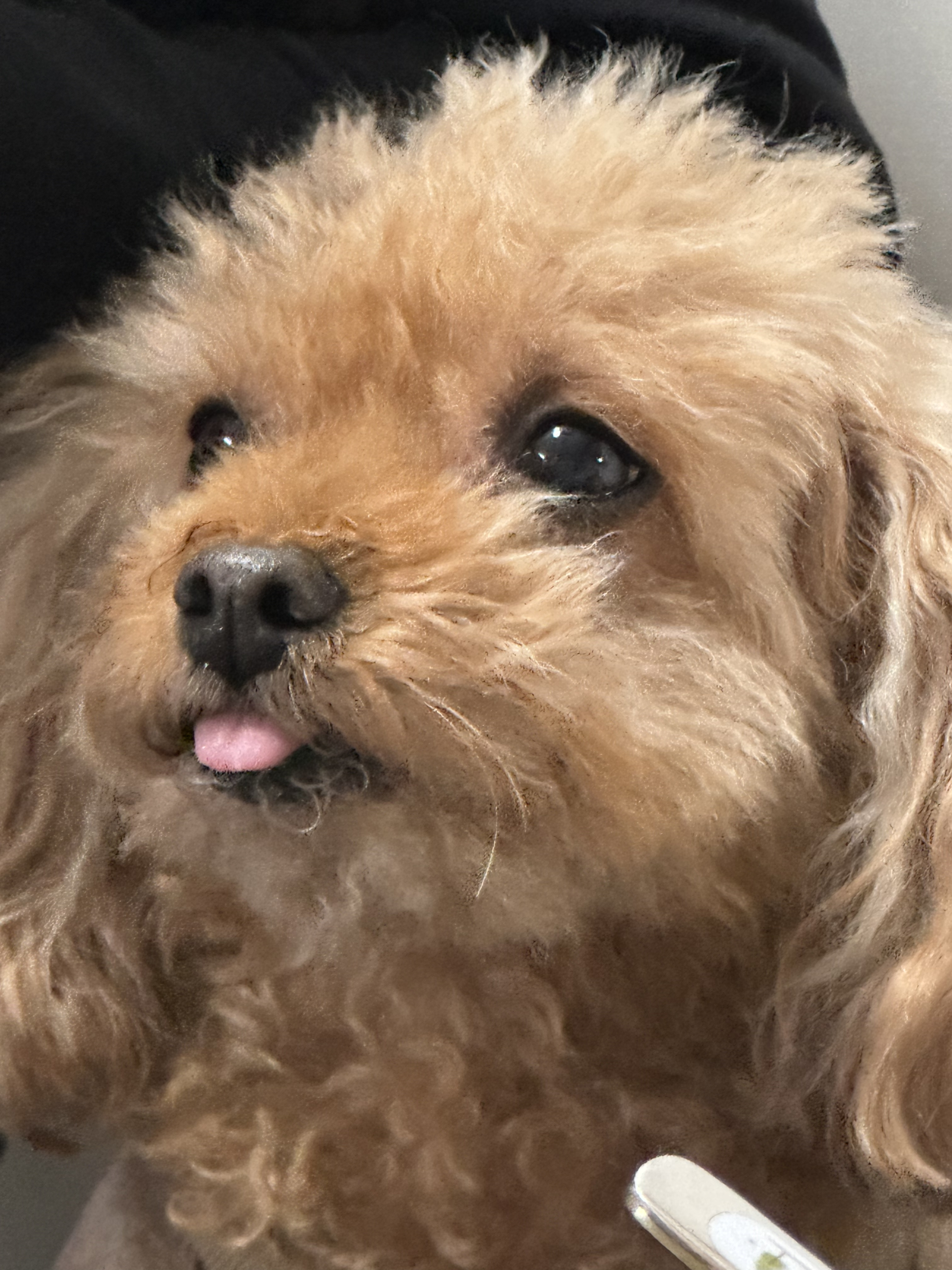 작성자 프로필 이미지