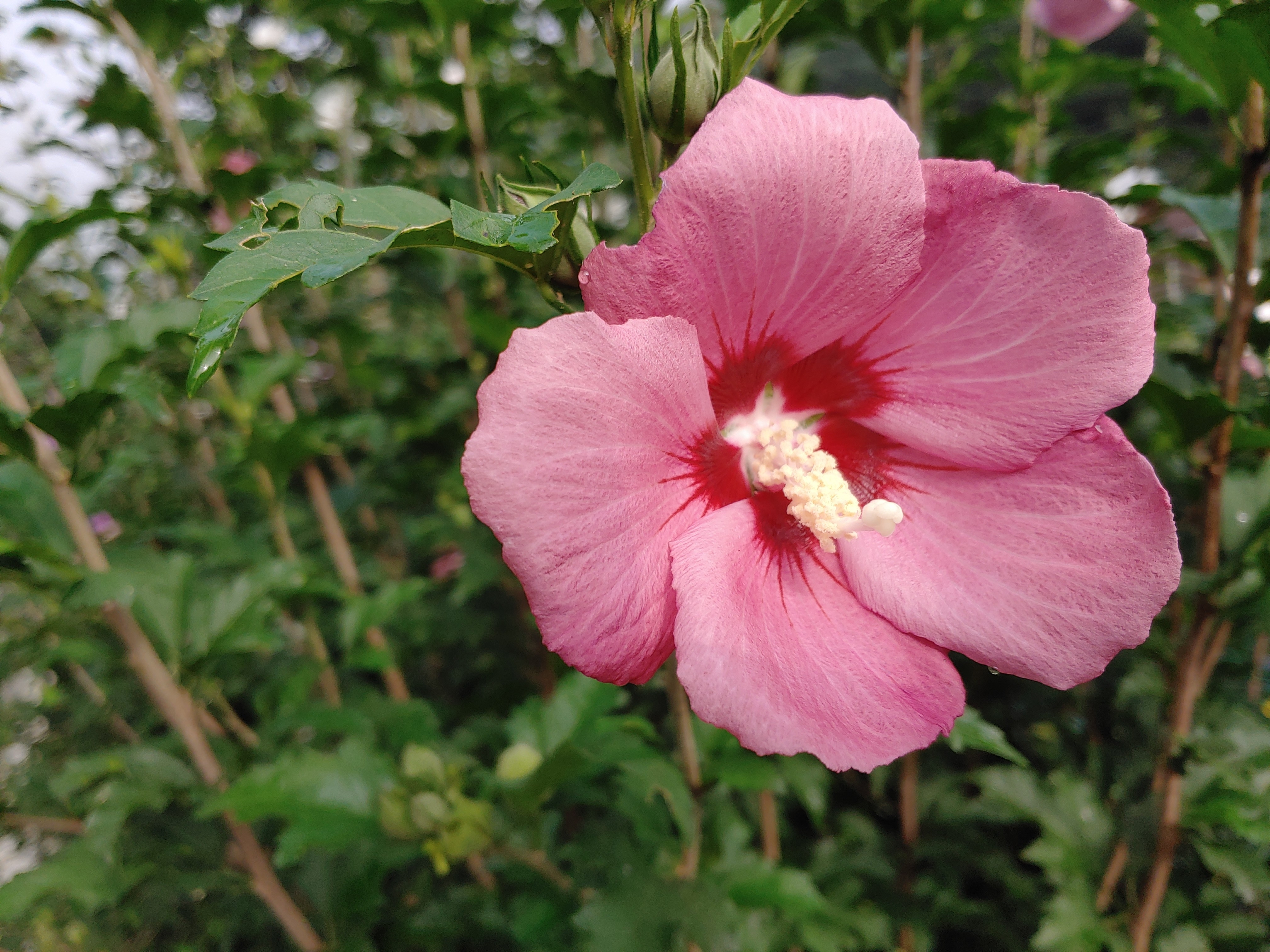 작성자 프로필 이미지