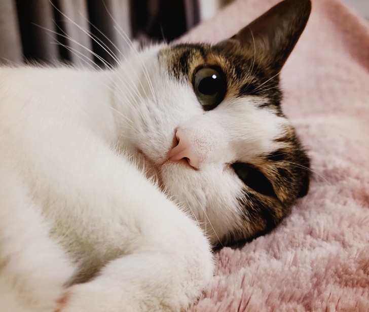 작성자 프로필 이미지