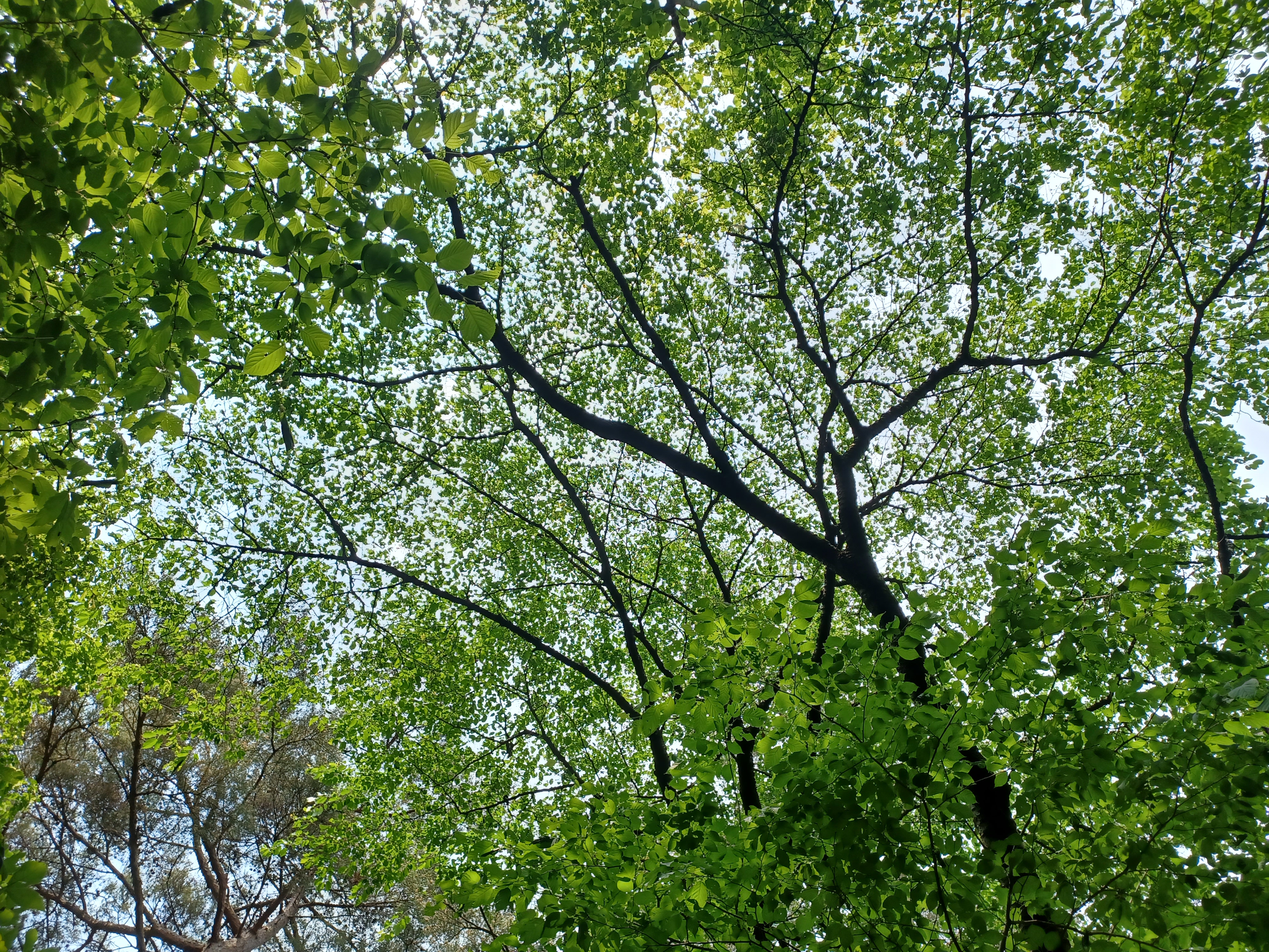 하하하하하하하하하하하하하 프로필 이미지