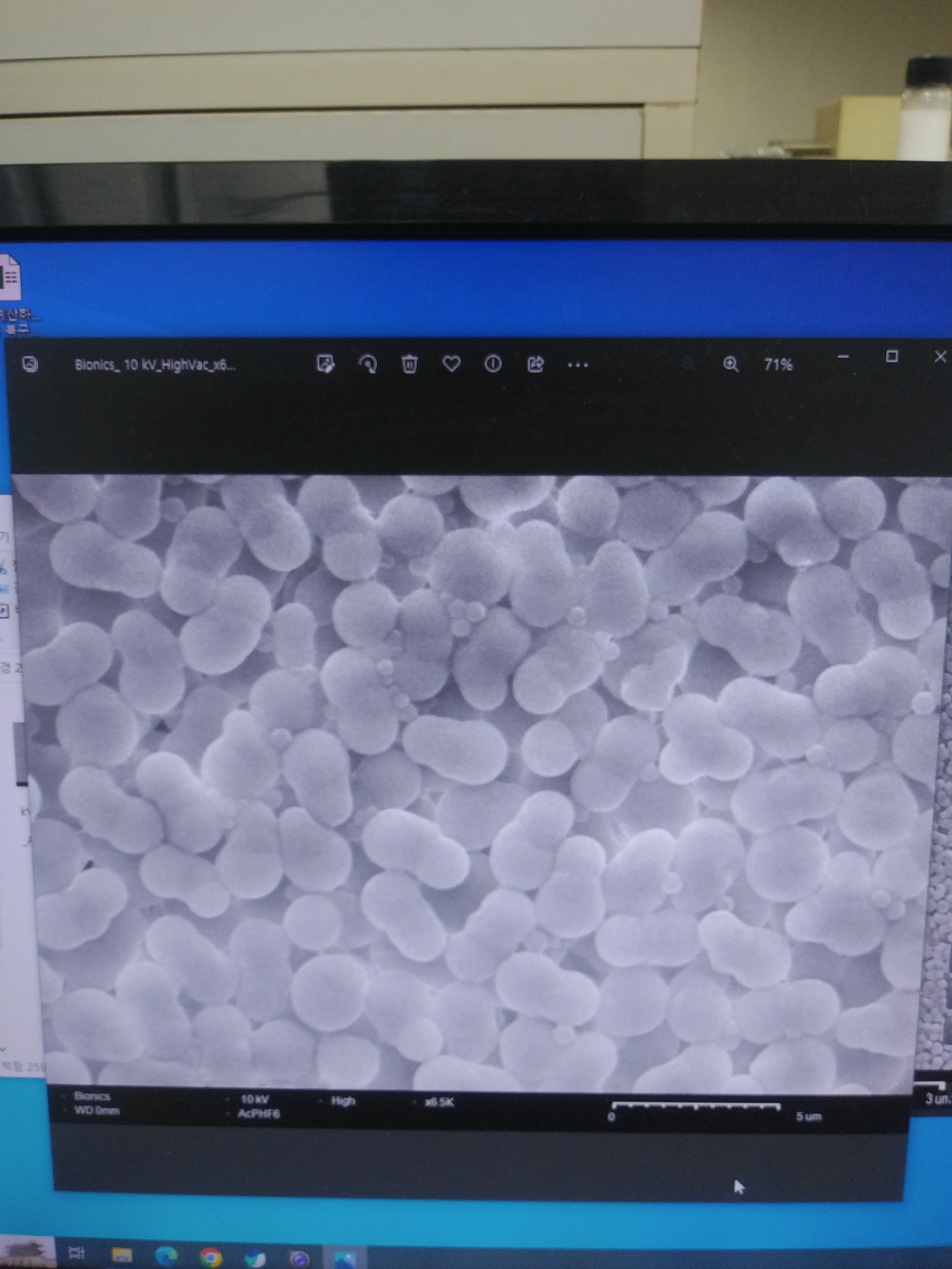 작성자 프로필 이미지