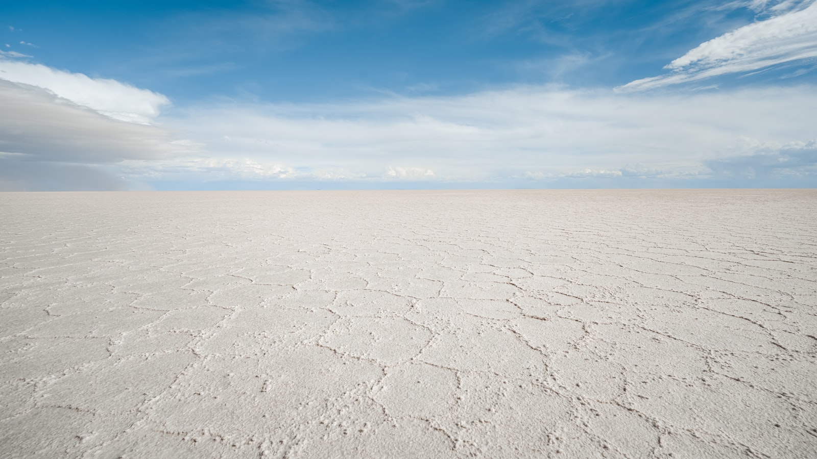 작성자 프로필 이미지