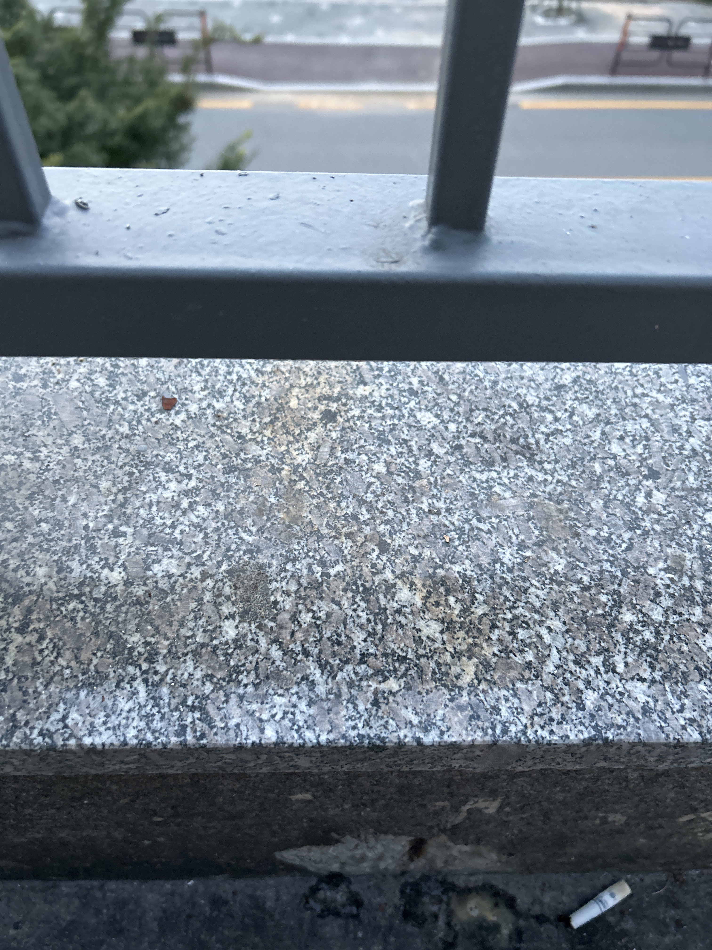 작성자 프로필 이미지