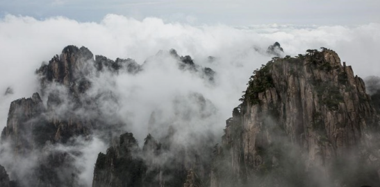 작성자 프로필 이미지