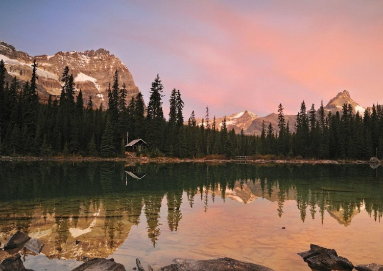 작성자 프로필 이미지