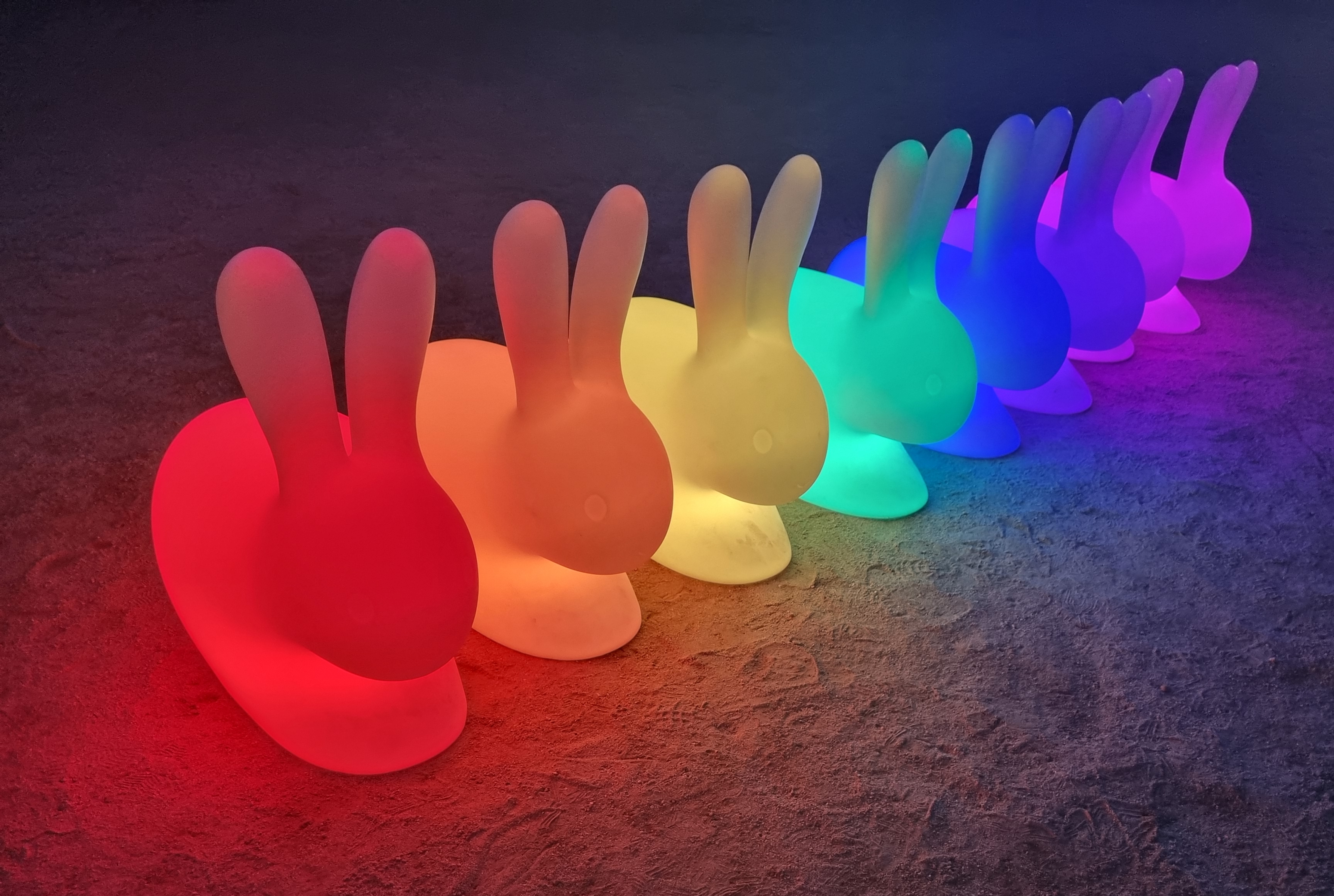 작성자 프로필 이미지