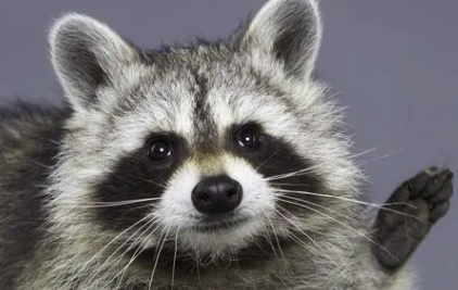 작성자 프로필 이미지