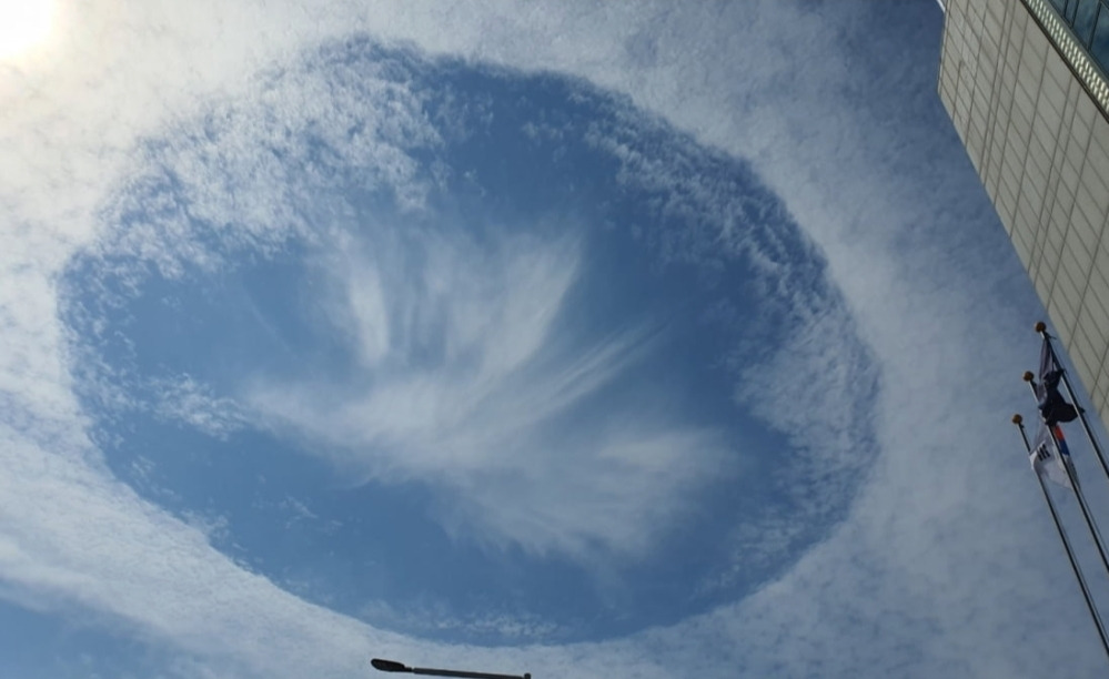 작성자 프로필 이미지