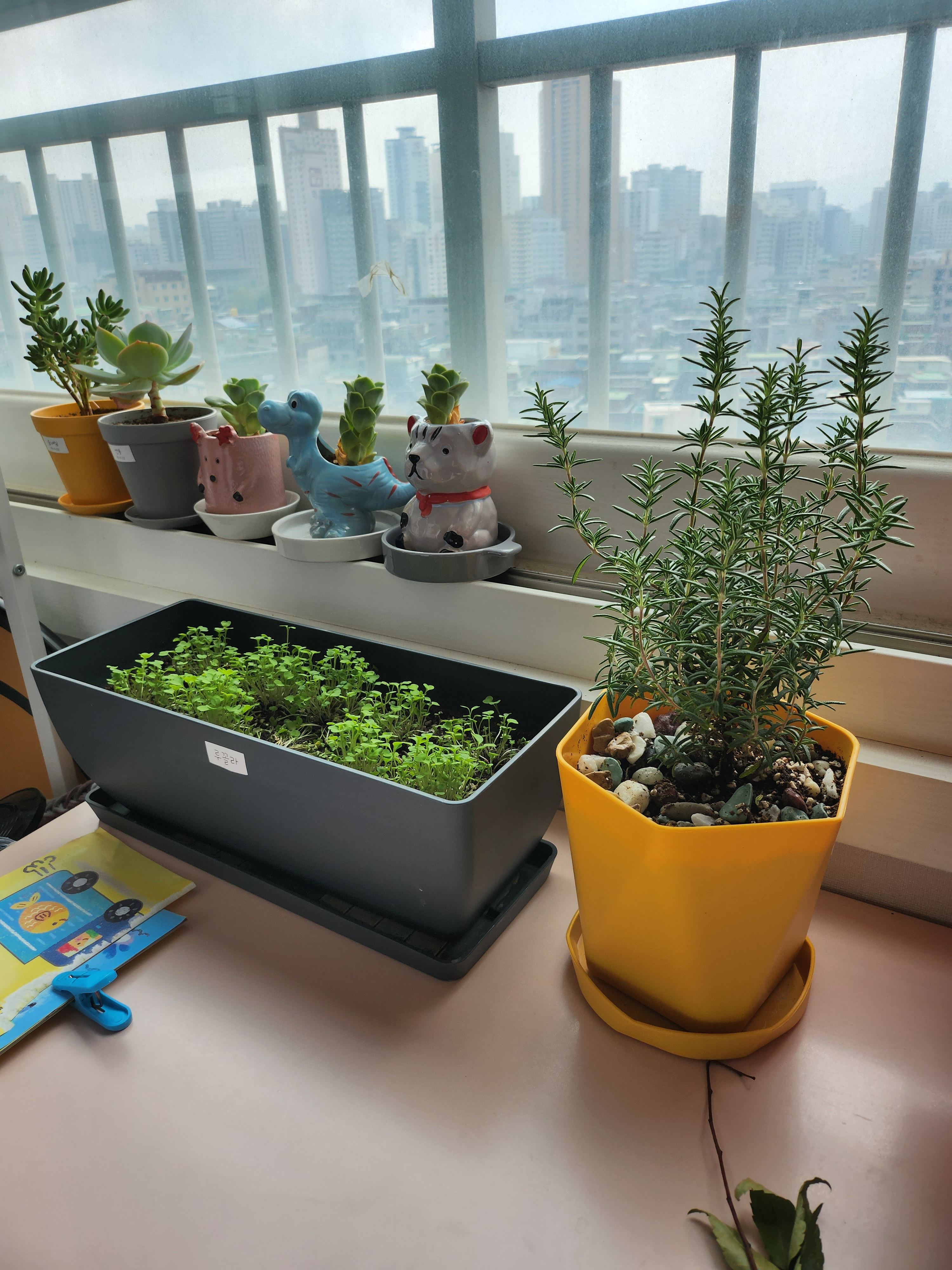 작성자 프로필 이미지