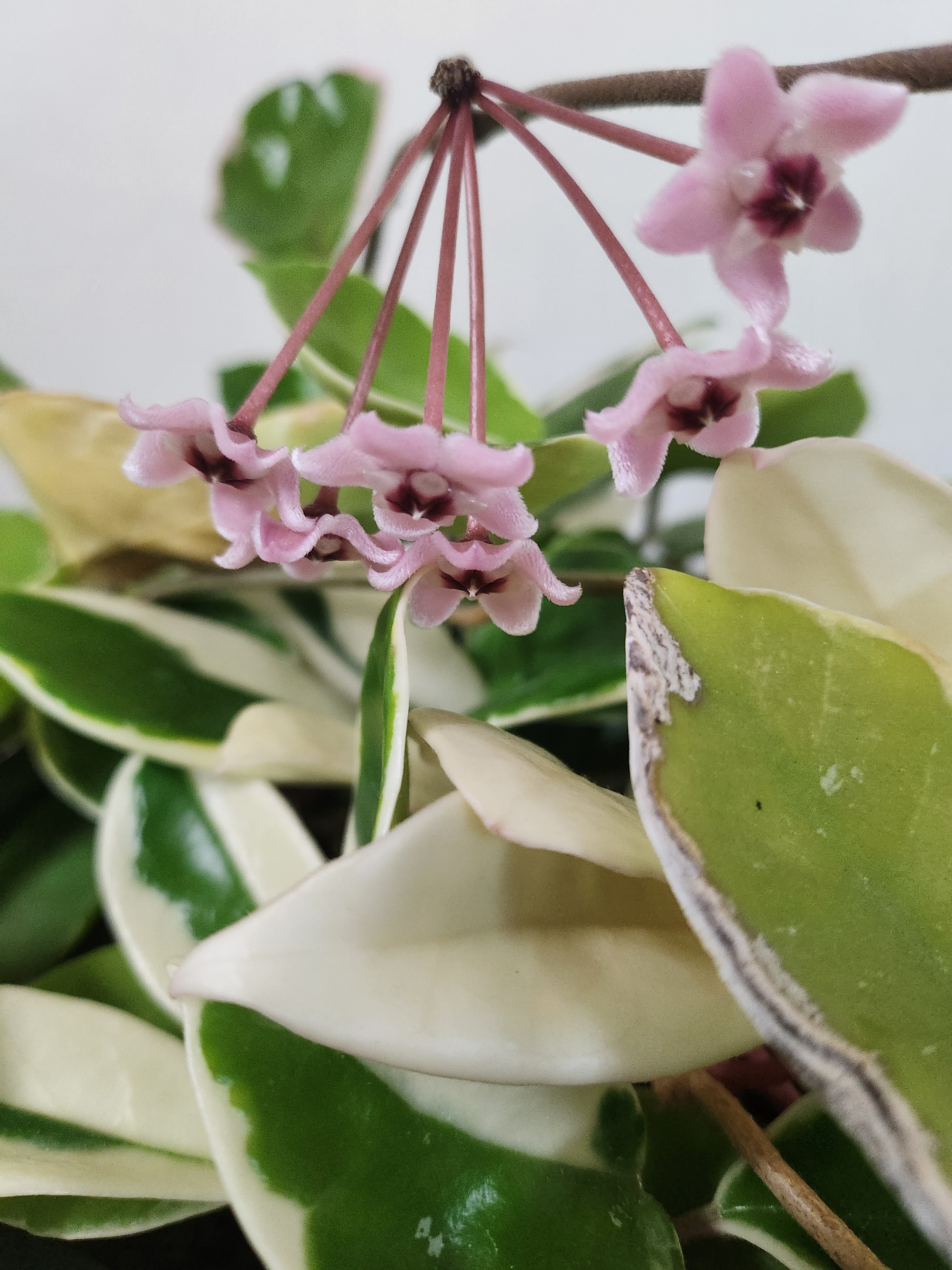 작성자 프로필 이미지