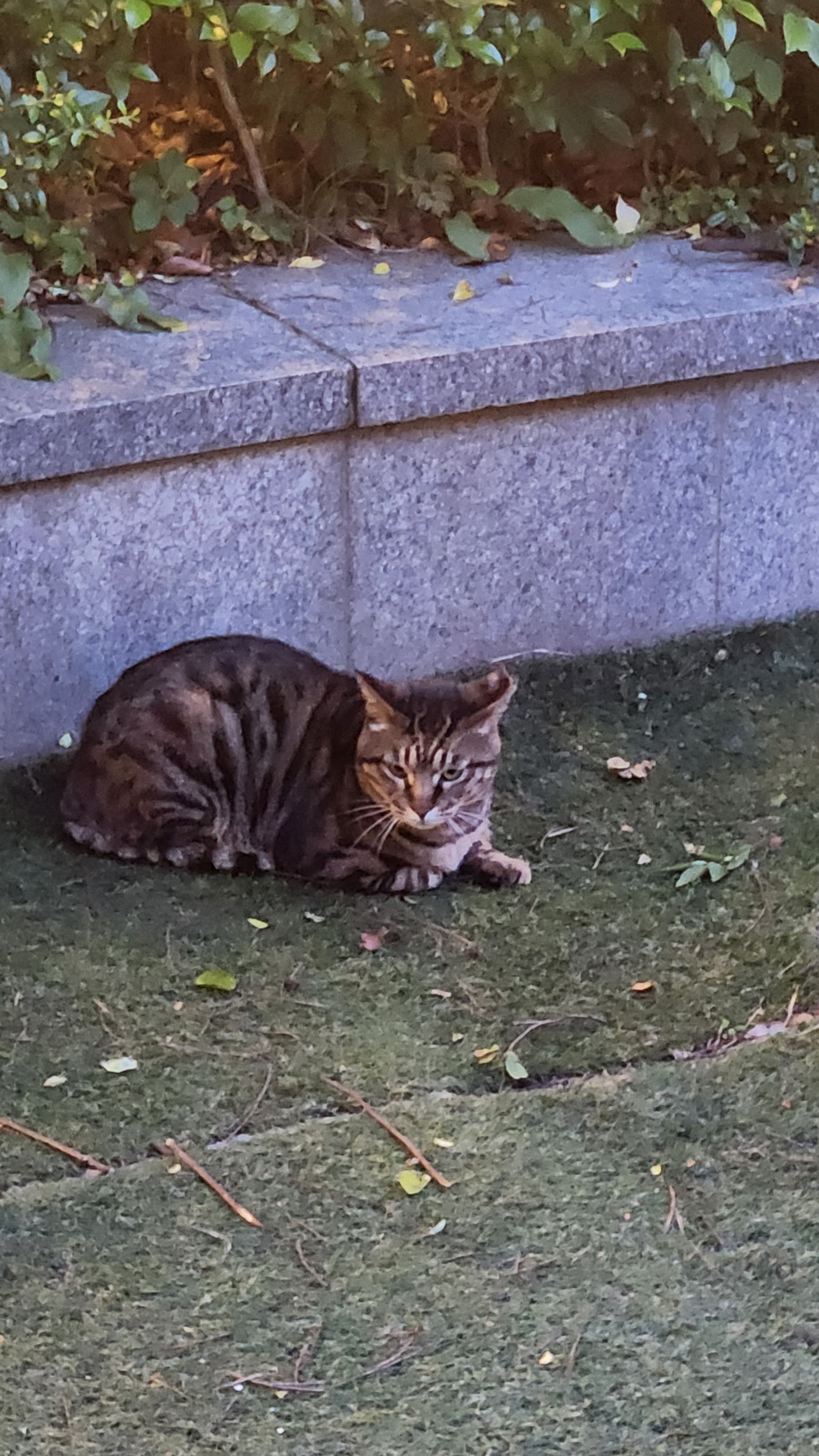 작성자 프로필 이미지