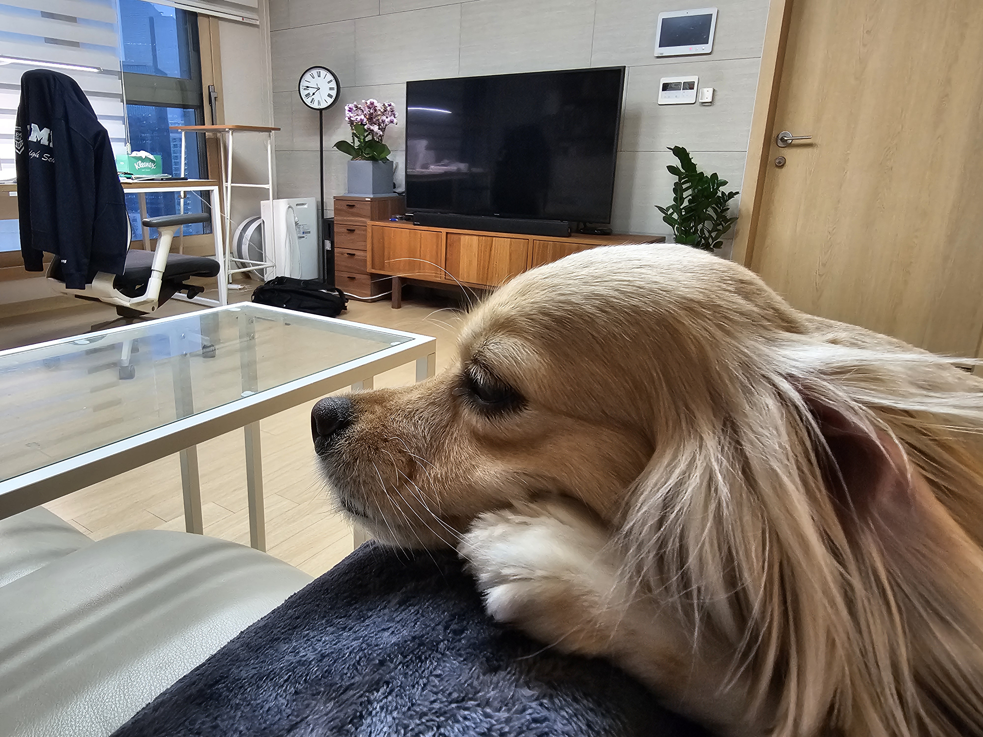 봄이09 프로필 이미지