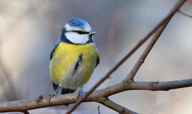 작성자 프로필 이미지