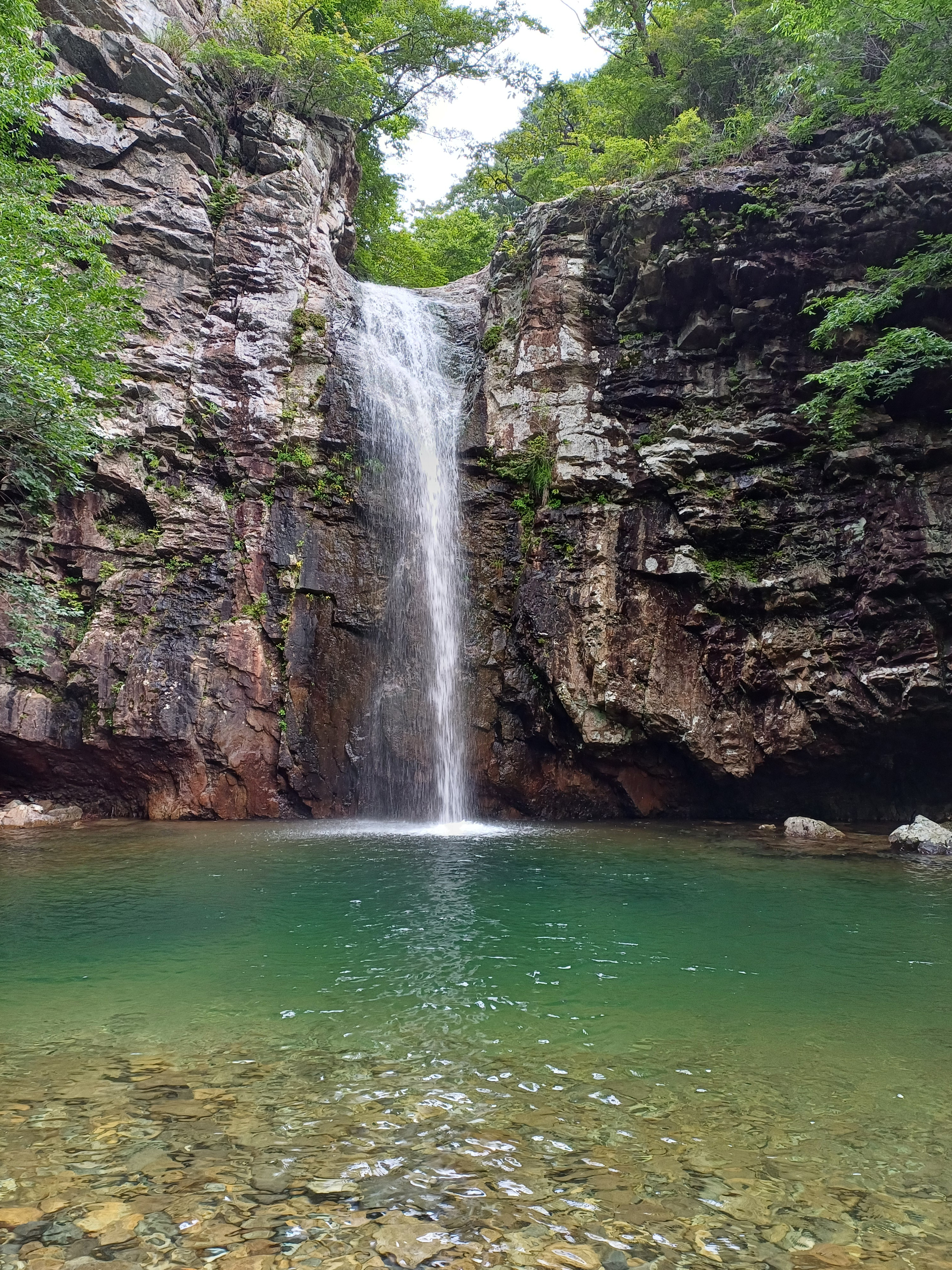 작성자 프로필 이미지