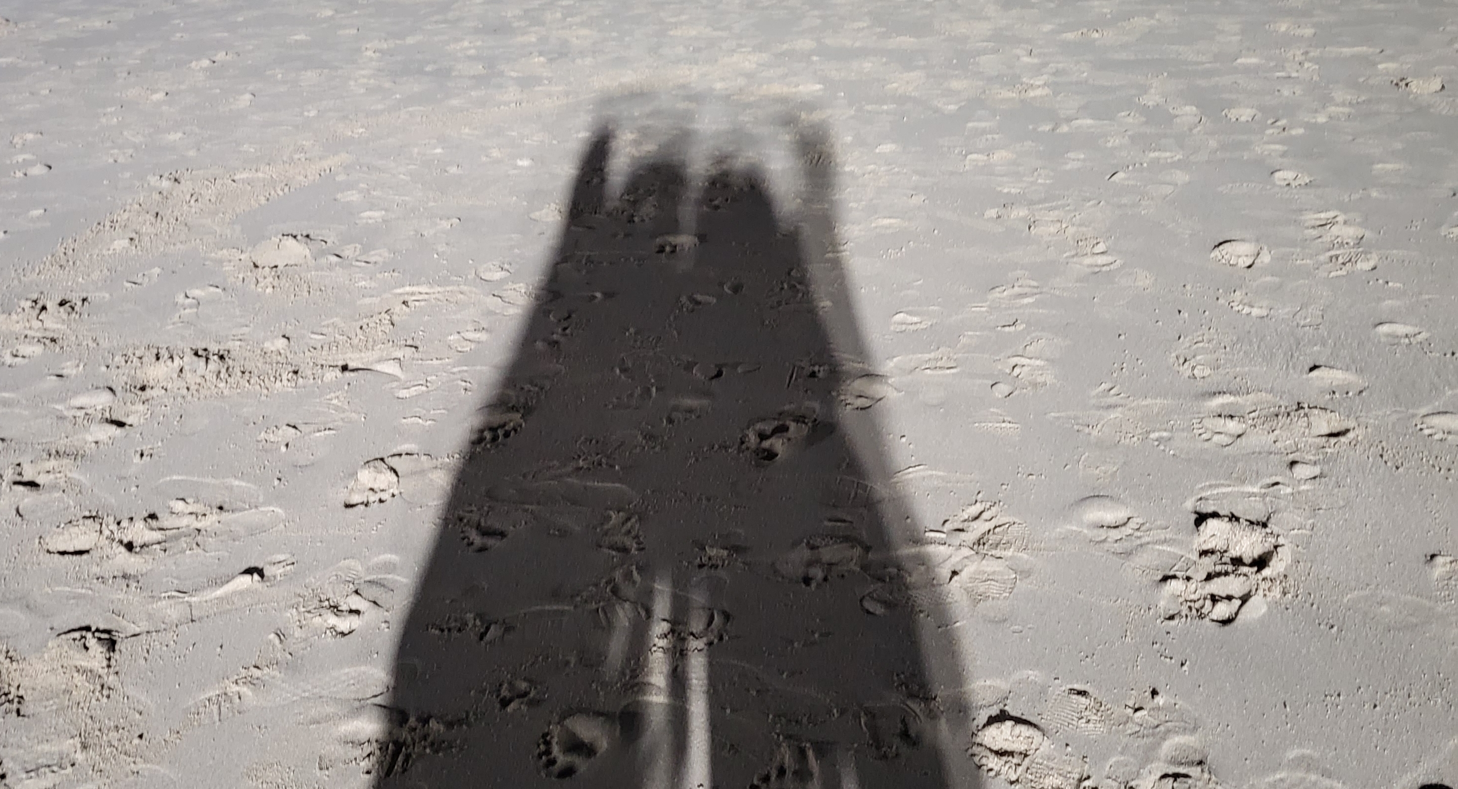 작성자 프로필 이미지