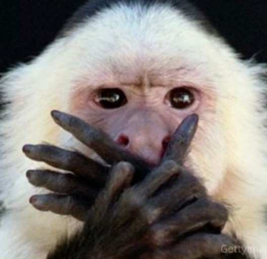 작성자 프로필 이미지