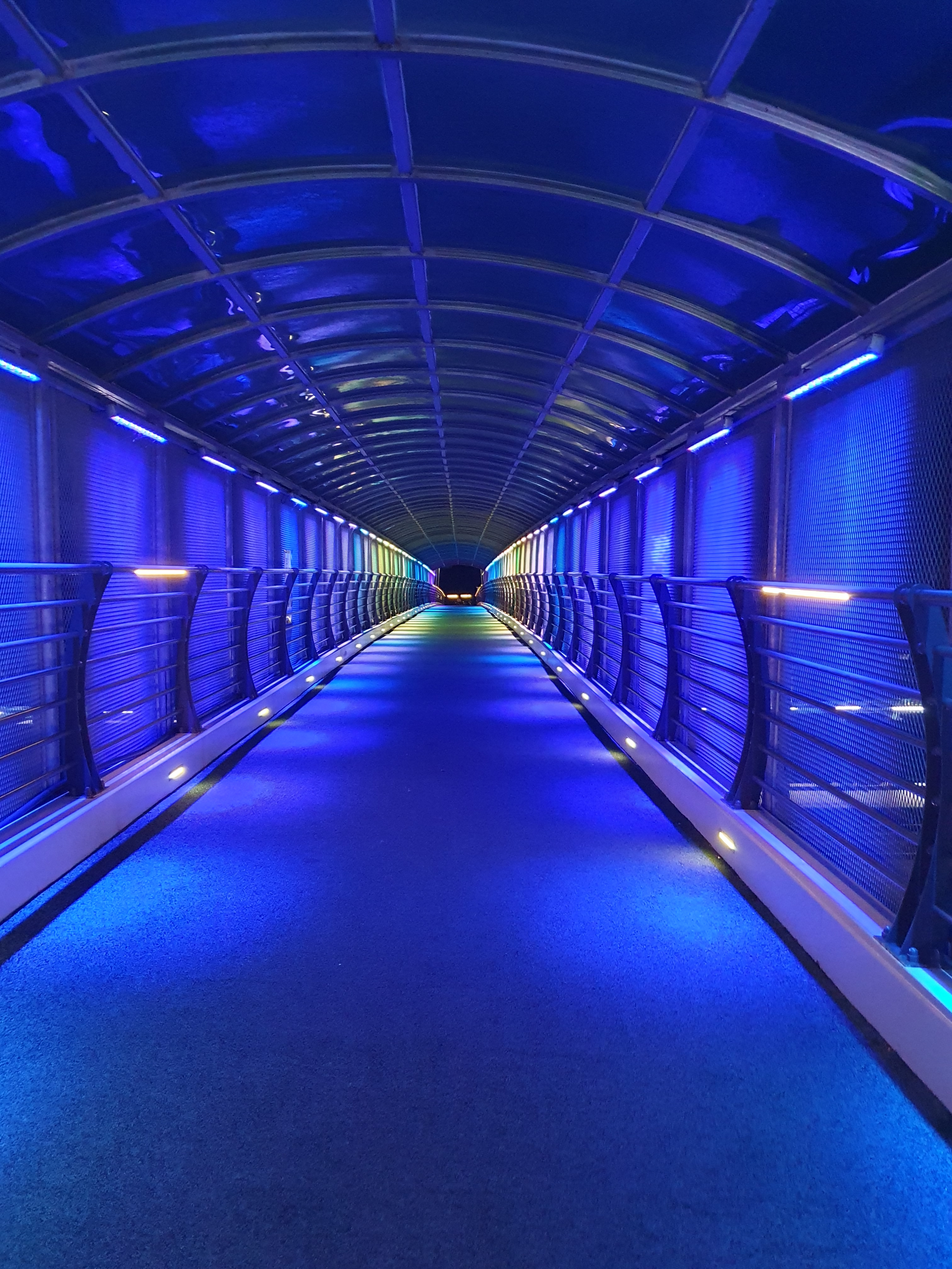 작성자 프로필 이미지