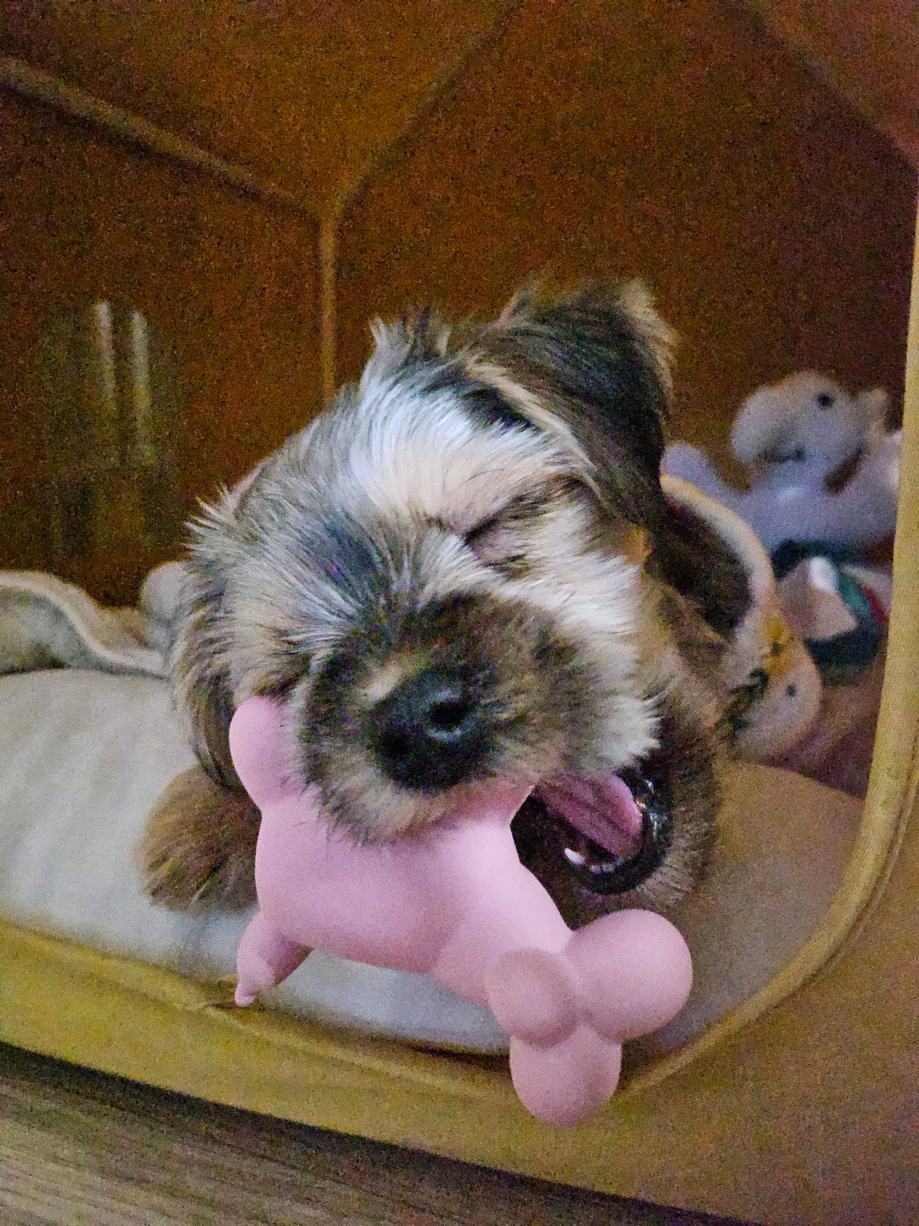 작성자 프로필 이미지