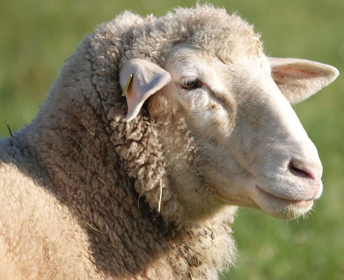 작성자 프로필 이미지