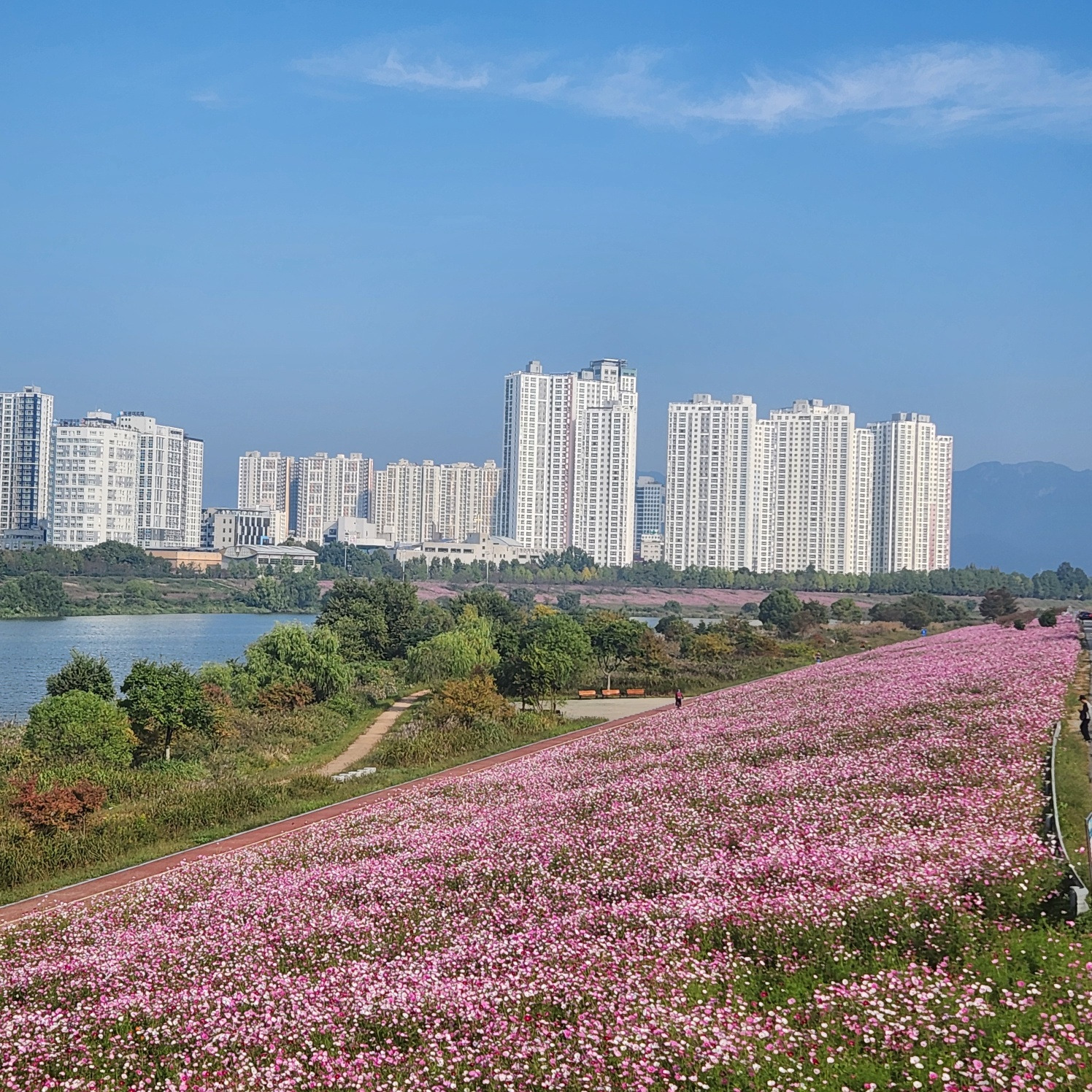 작성자 프로필 이미지