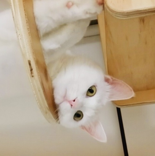 작성자 프로필 이미지