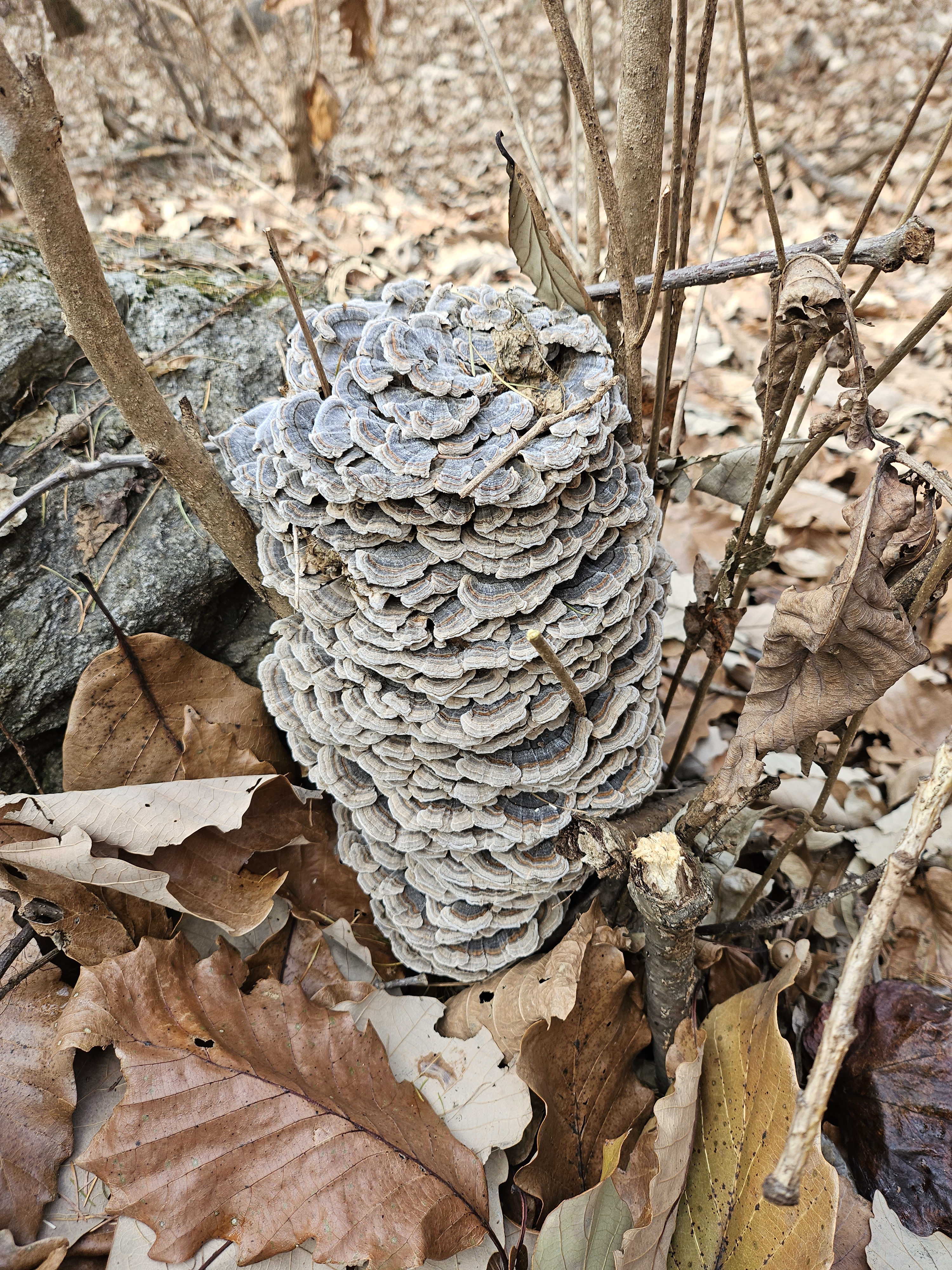 작성자 프로필 이미지