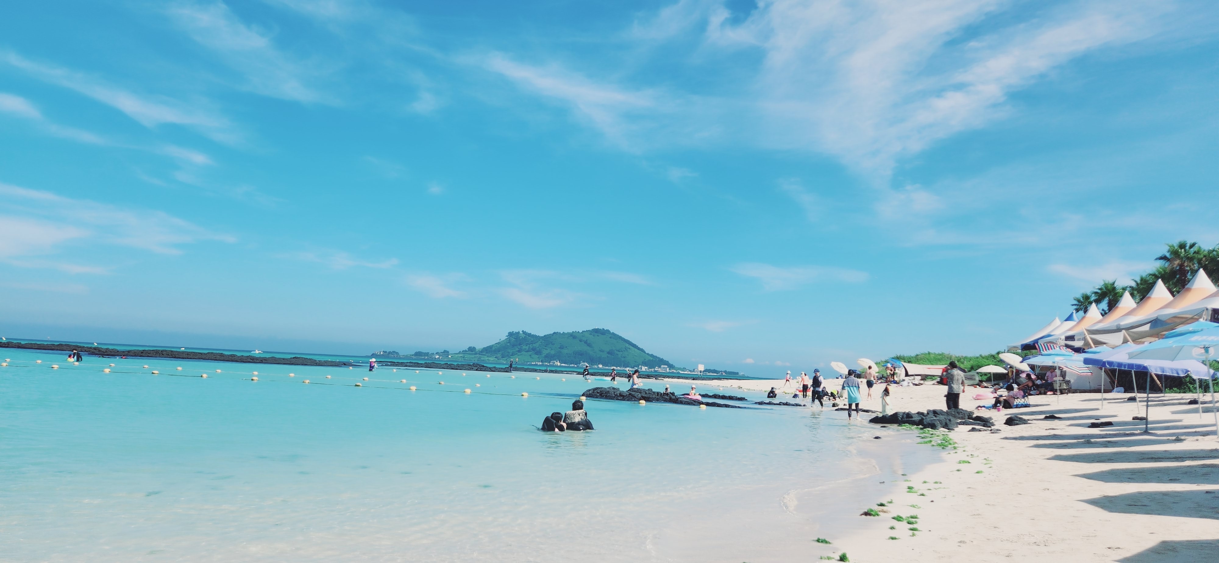 작성자 프로필 이미지