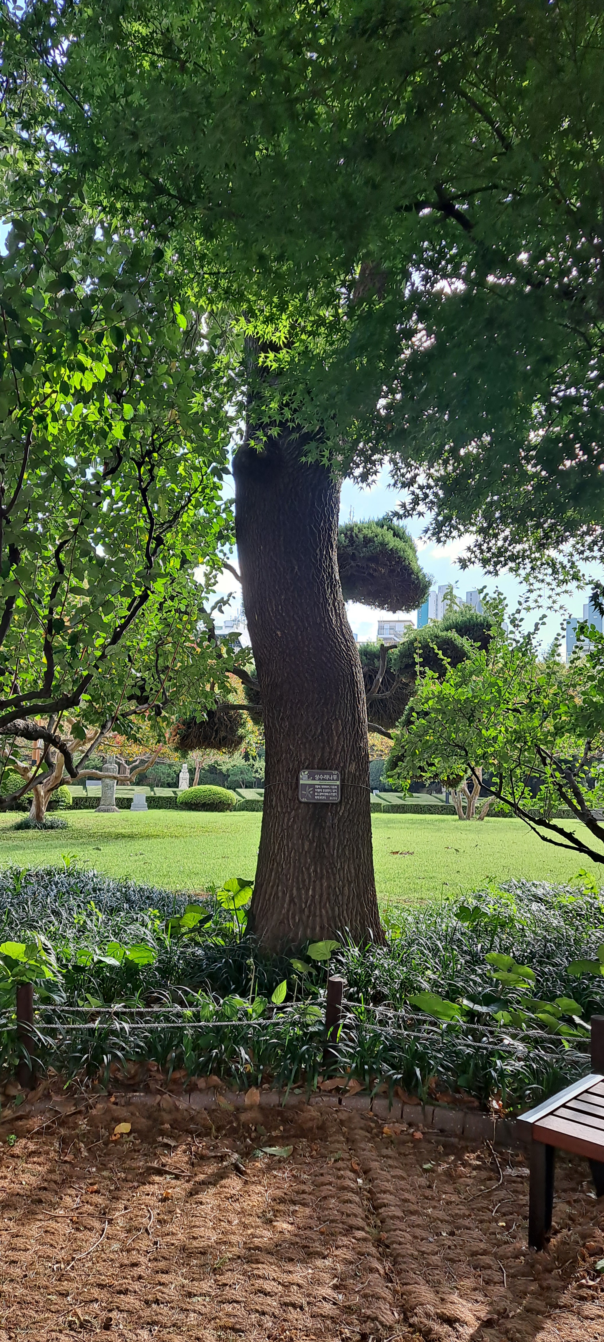 작성자 프로필 이미지