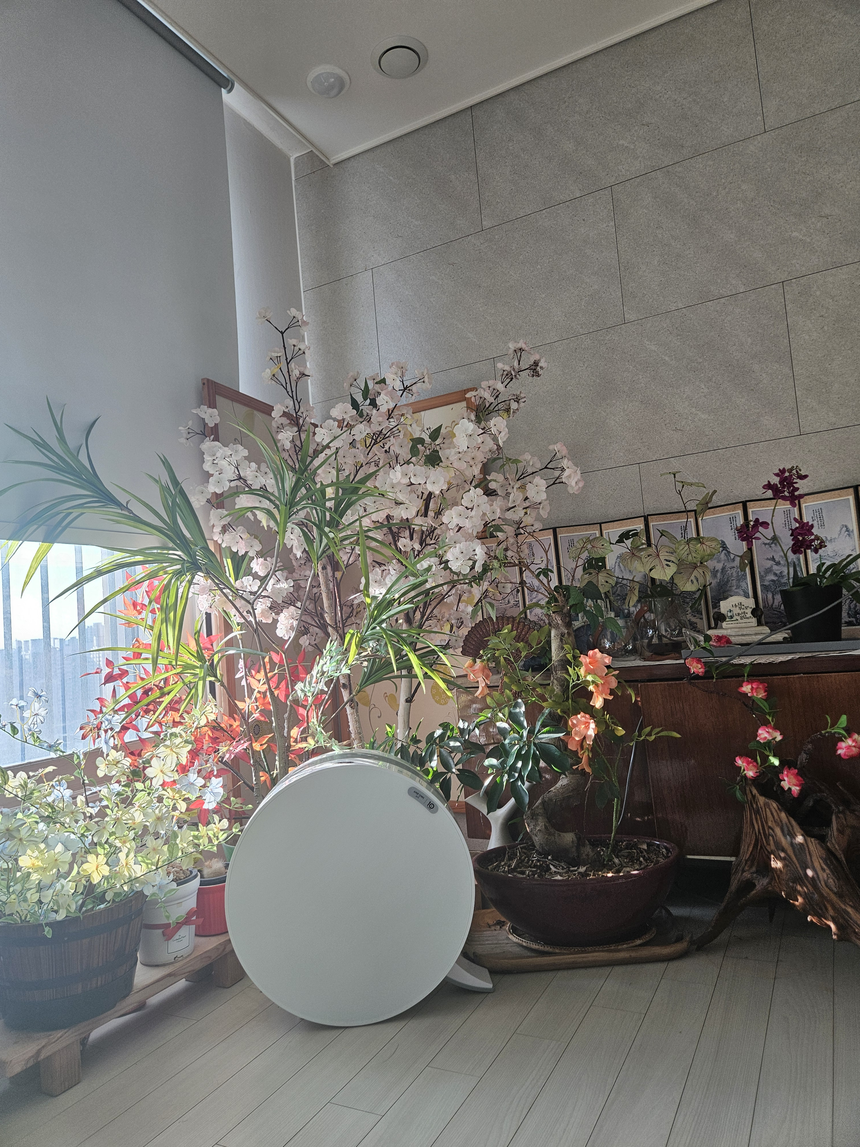 작성자 프로필 이미지