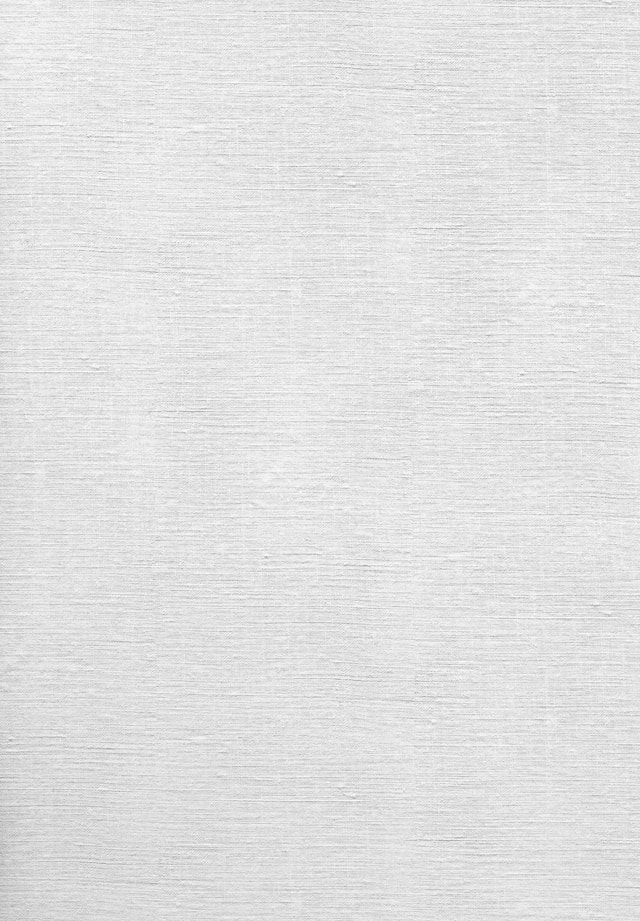 작성자 프로필 이미지