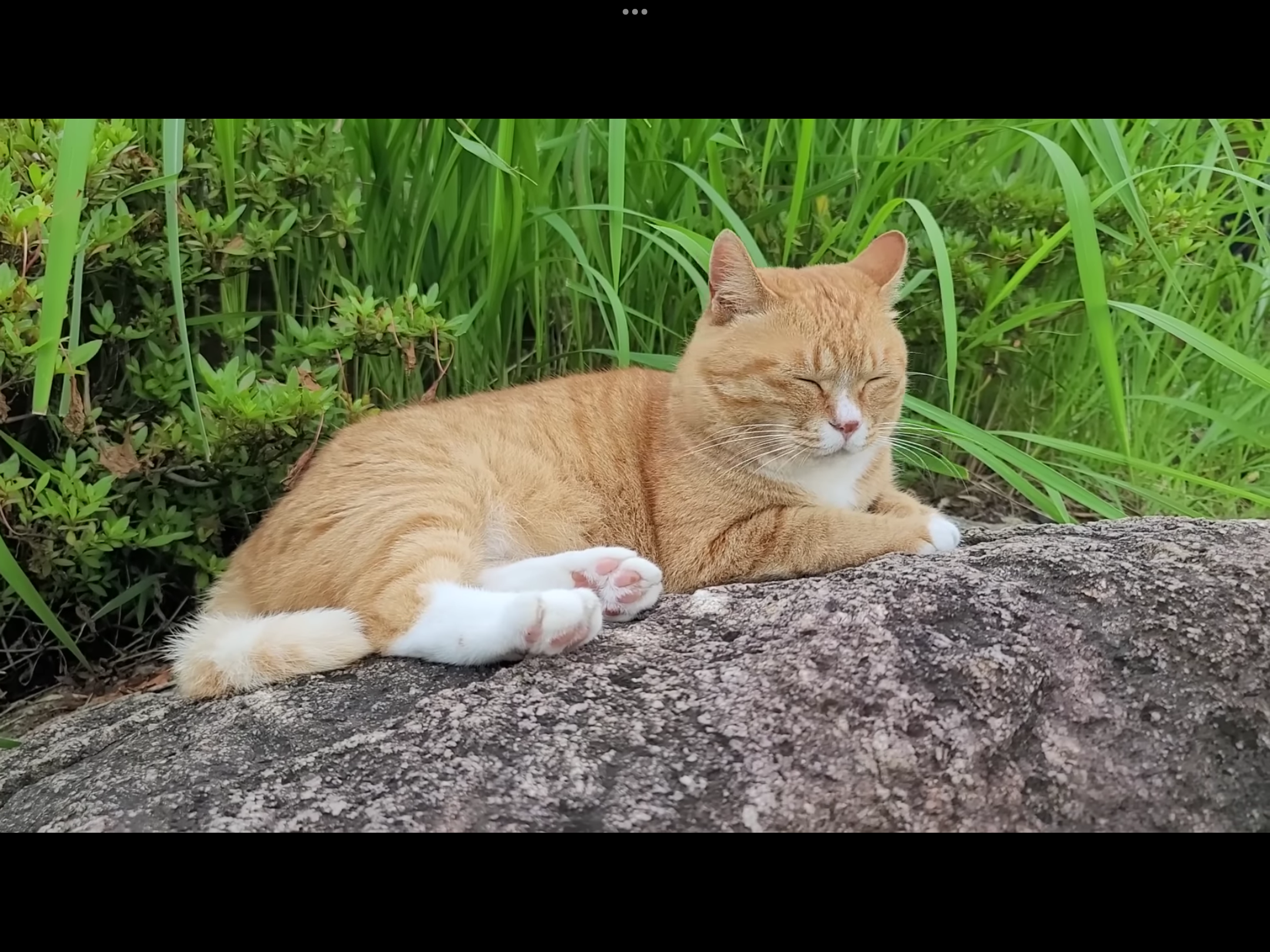 작성자 프로필 이미지