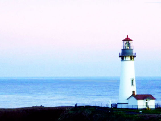 작성자 프로필 이미지